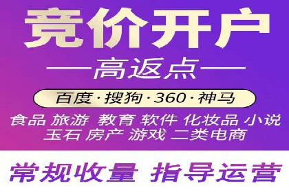 成功SEM服务案例：优化广告投放